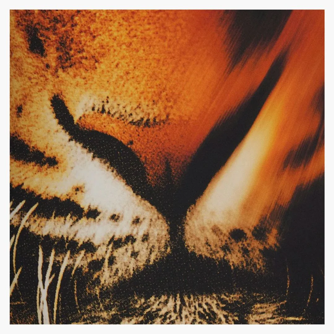 Skims X Roberto Cavalli Triangle Bikini Top Tiger Face Print - Image 2
