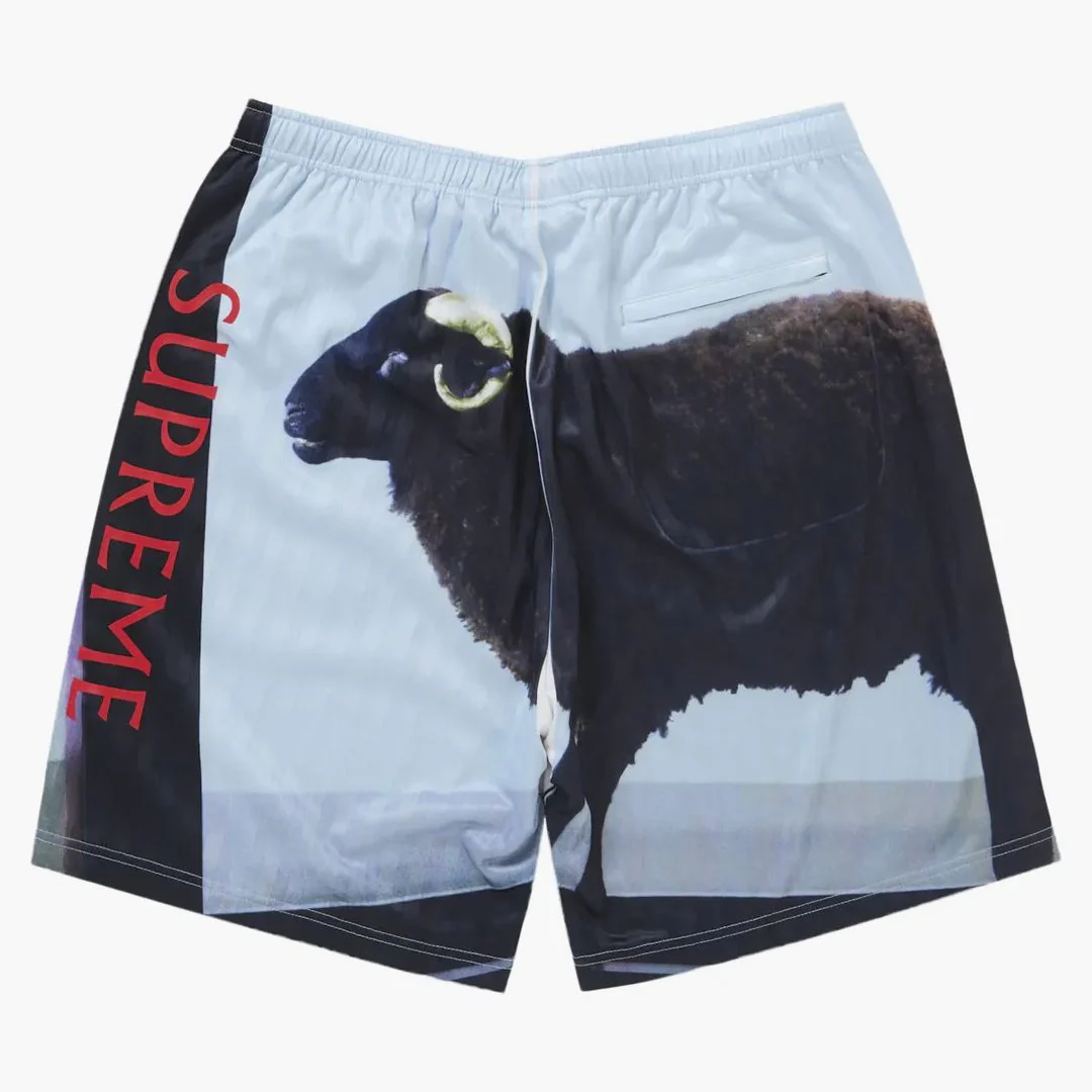 Supreme Damien Hirst Soccer Short Black - Image 2
