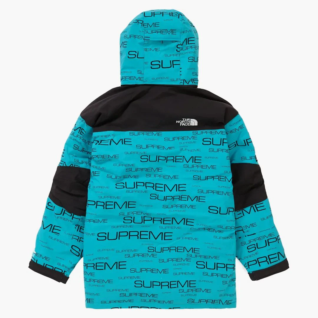 Supreme The North Face Coldworks 700-fill Down Parka Teal - Image 3