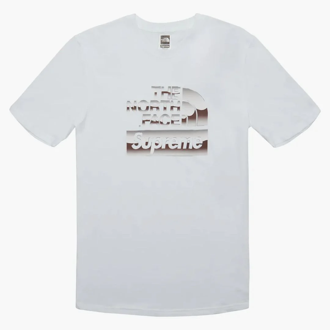 Supreme The North Face Metallic Logo T-shirt White