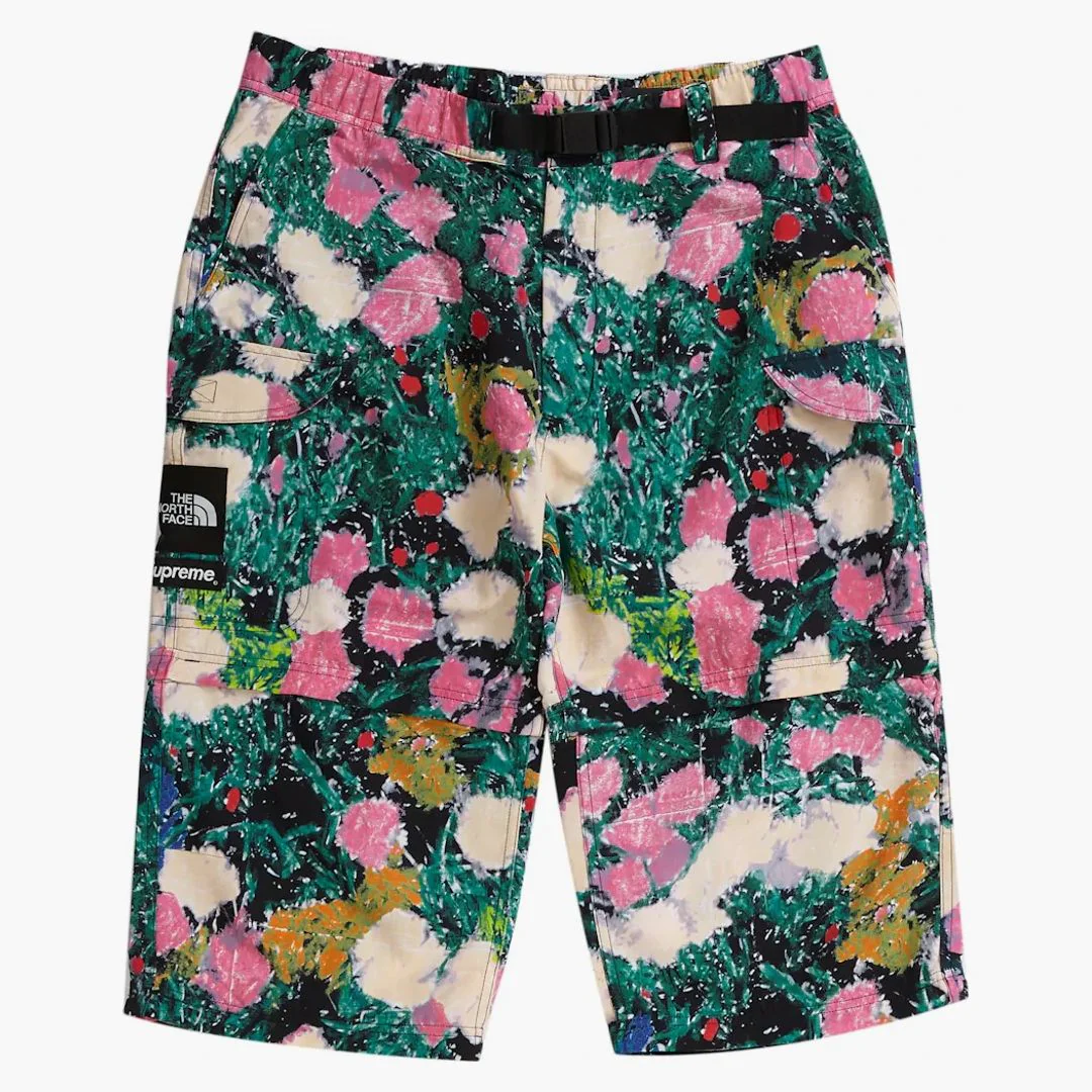 Supreme The North Face Trekking Zip-off Belted Pant Flowers - Image 3